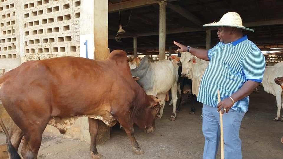 Hon. Ladi Adebutu inspecting livestock operations at SKAAL farm